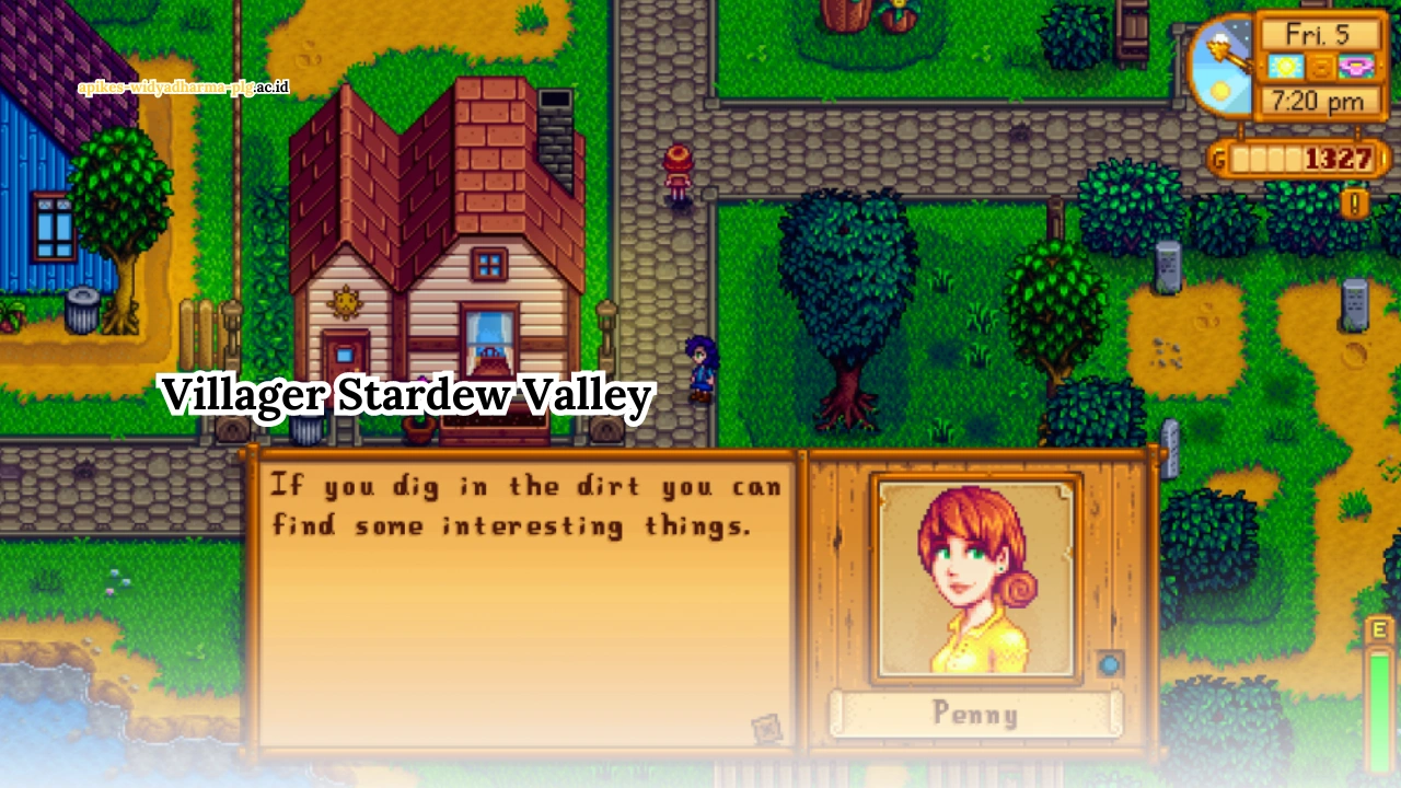 Villager-Stardew-Valley